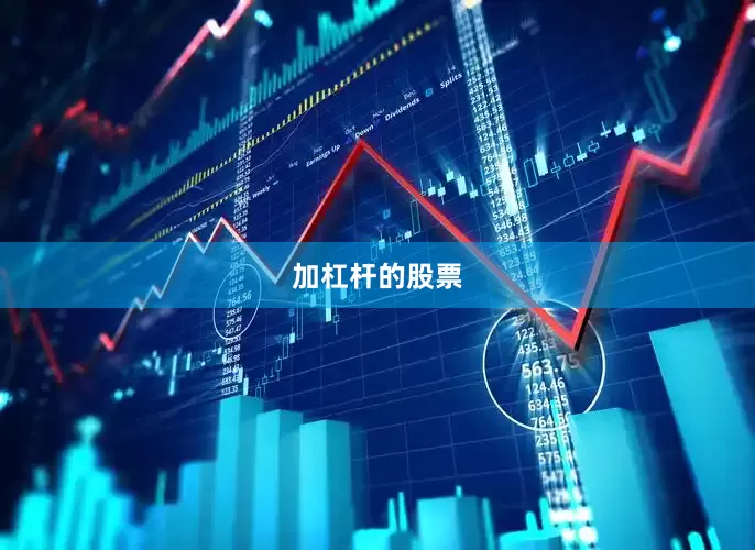 加杠杆的股票